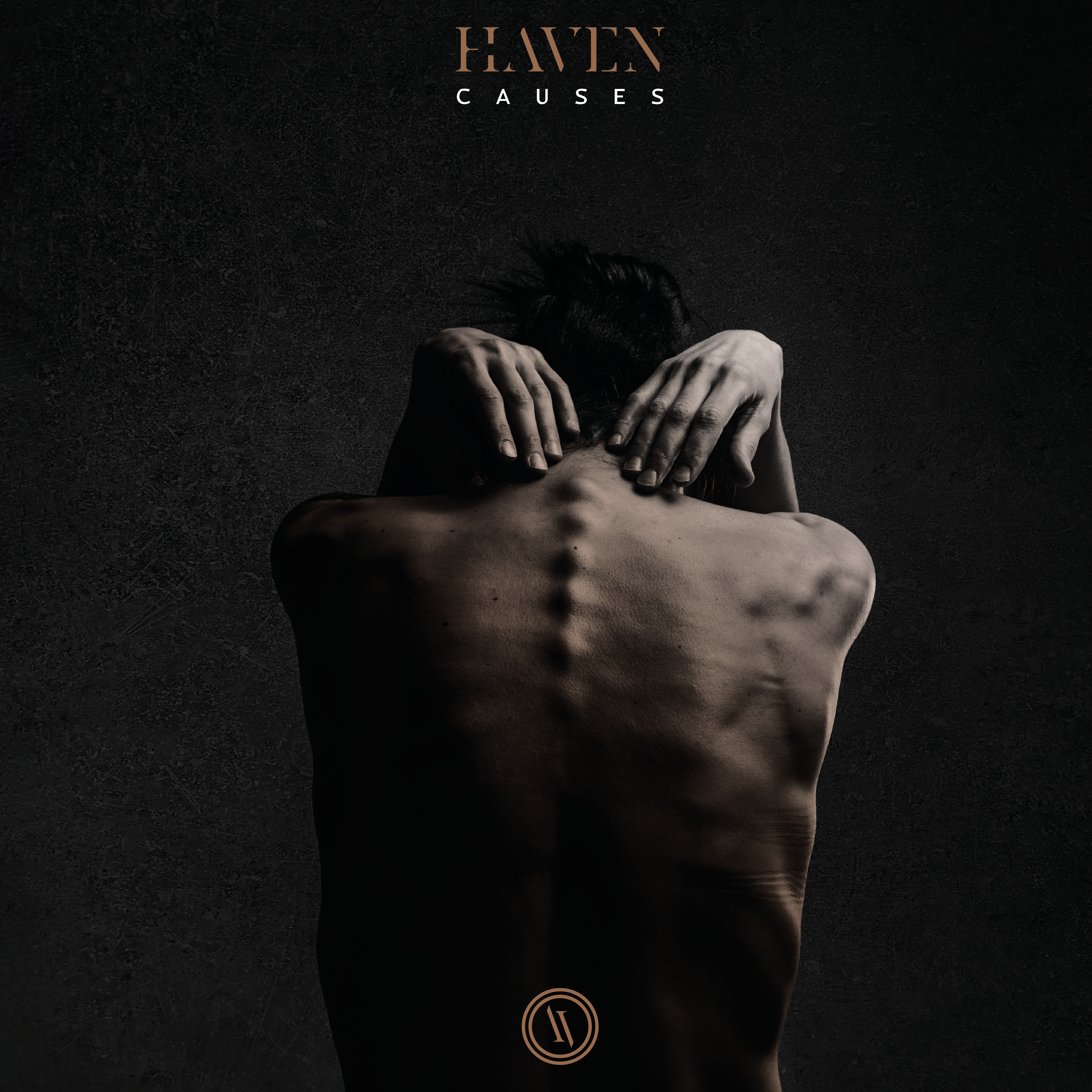 Review: HAVEN – Causes